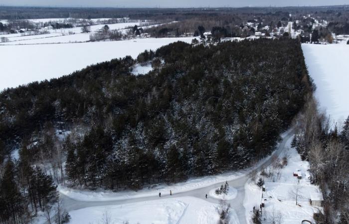 Klimawandel | Die zum Outdoor-Skaten geeigneten Tage schmelzen dahin