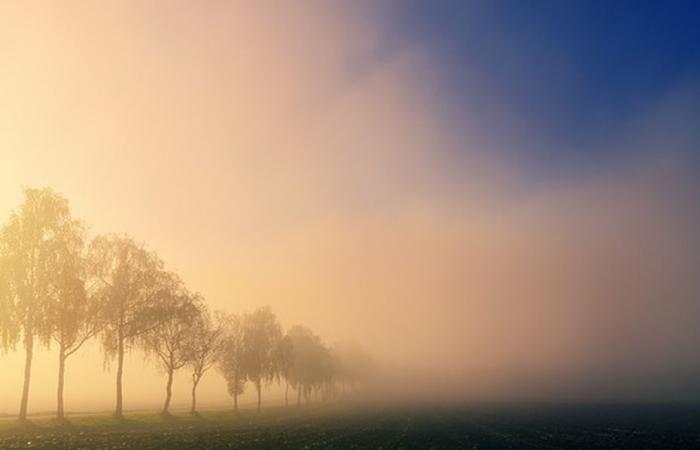 WETTERBERICHT. Nebel, Nebel und Nieselregen dominieren an diesem Mittwoch, dem 25. Dezember, in einem sehr milden Klima in der Normandie.