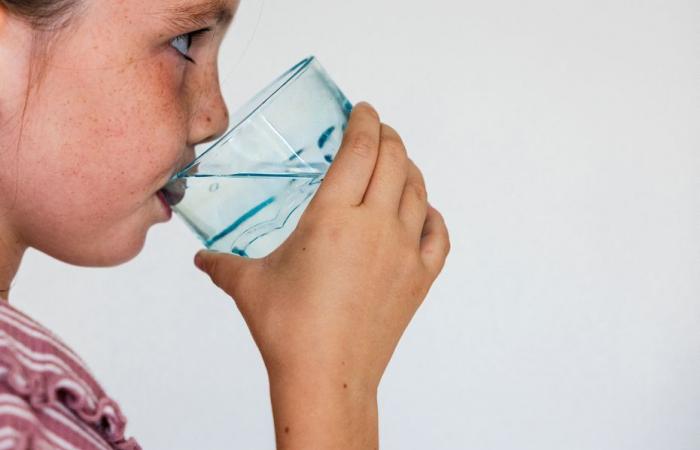 Alarm. Falsche Meldung über die Wasserqualität im Großraum Lyon