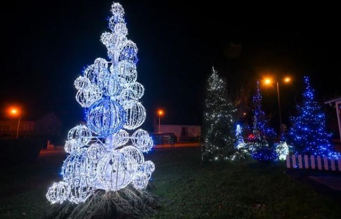 Lichter, Teddybären… Die festliche Atmosphäre der Gemeinden des Ballungsraums Limoges in Bildern