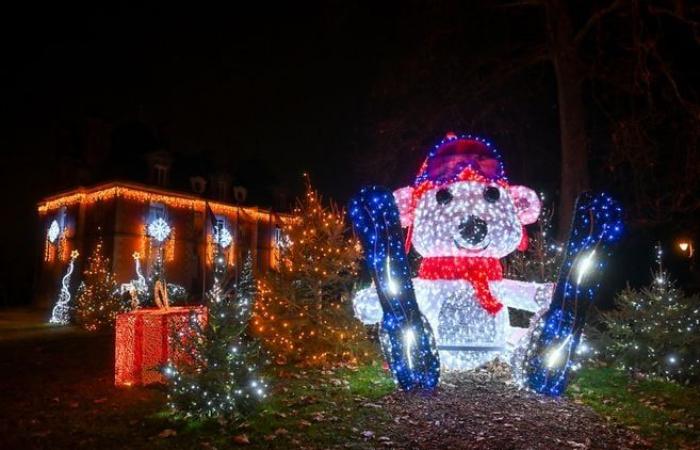 Lichter, Teddybären… Die festliche Atmosphäre der Gemeinden des Ballungsraums Limoges in Bildern