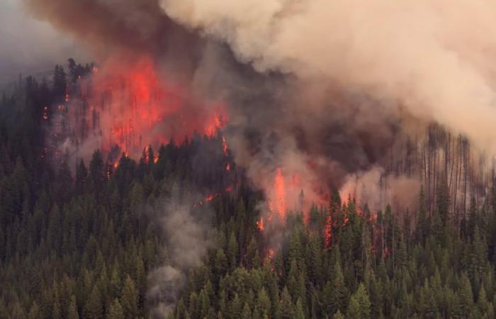 Jahresrückblick 2024: Extremes Wetter in BC