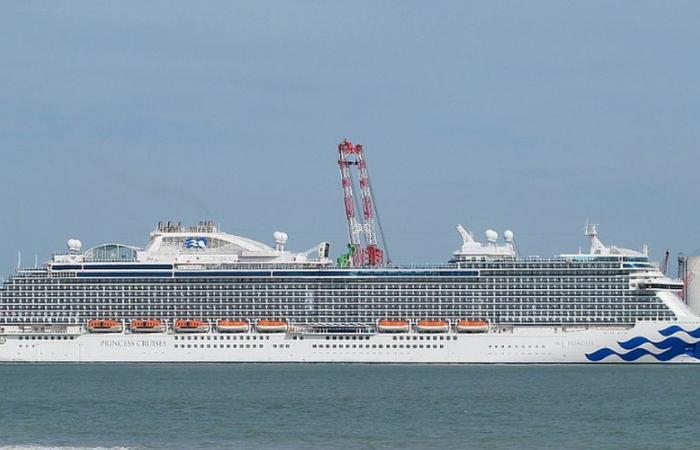 „Jemand hielt sie am Arm fest, bevor sie fiel“: Passagier der Sky Princess-Kreuzfahrt stirbt, nachdem er über Bord gefallen ist