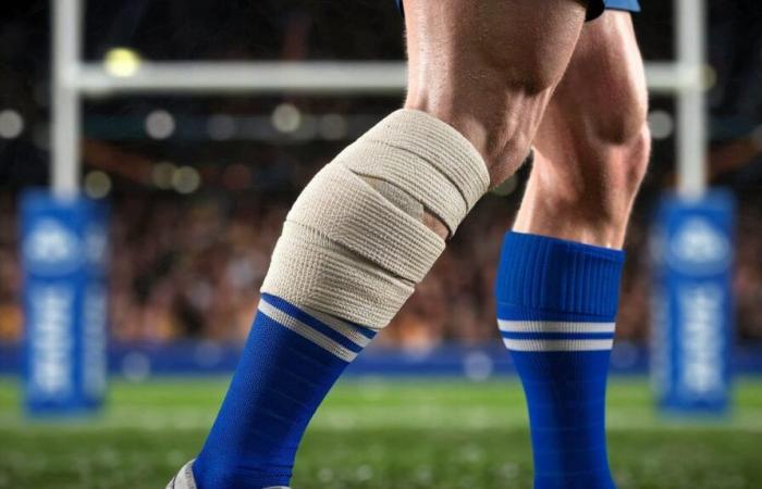 Die englische Säule von Castres Olympique ist einen Monat lang verletzt