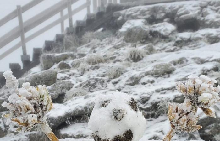 Wetterbericht. Wird es zu Weihnachten im Zentralmassiv schneien? Die Antwort