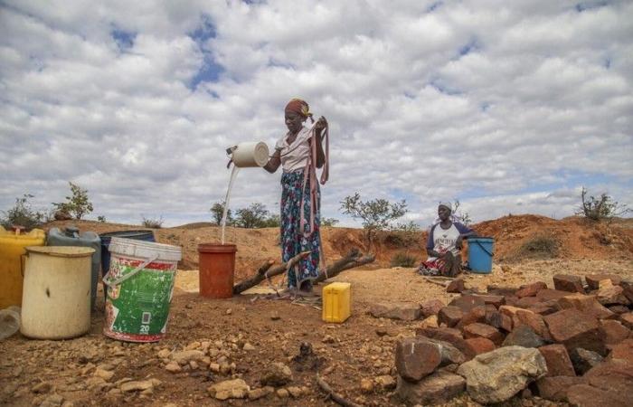 Rückblick auf wichtige Umweltereignisse in Afrika im Jahr 2024 – VivAfrik