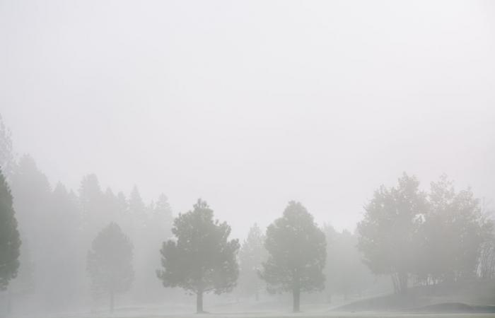 Wetterbericht. Wie ist das Wetter in Hauts-de-France an diesem Mittwoch, den 25. Dezember?