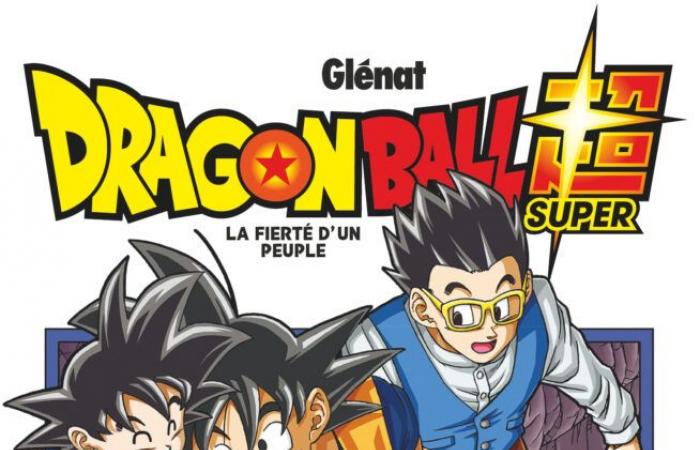 Endlich die 4 großartigen Dragon Ball-Bücher!