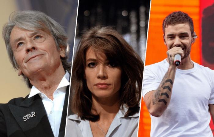 Alain Delon, Françoise Hardy, Liam Payne … sie haben uns im Jahr 2024 verlassen