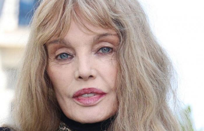 Arielle Dombasle (Der Weihnachtslieferant): Wer ist ihr erster Ehemann, Paul Albou?