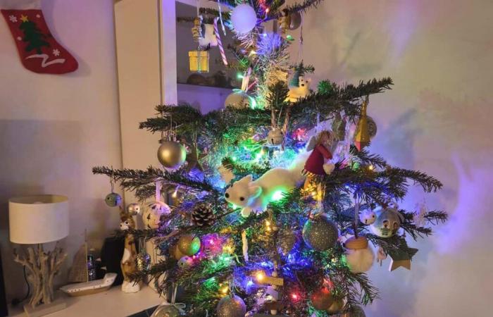 Wie recyceln Sie Ihren Weihnachtsbaum in La Seyne-sur-Mer?