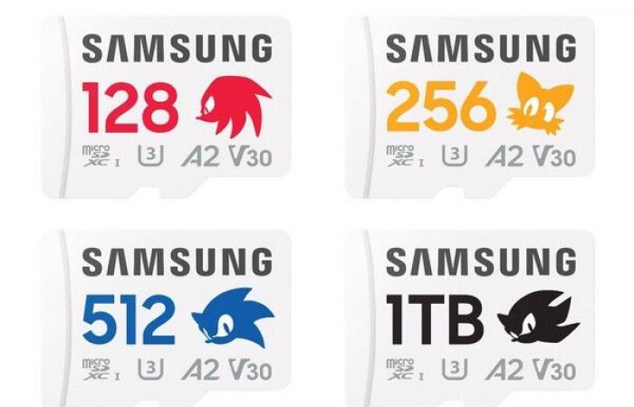 Die neuen microSD-Karten im Sonic-Design von Samsung eignen sich hervorragend für die Nintendo Switch 2