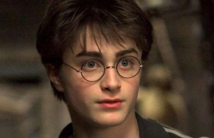 Niemand hat herausgefunden, ob diese 10 Bilder von Harry Potter oder Twilight stammen