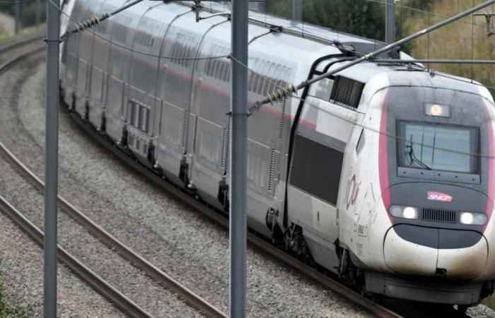 Erhebliche Verzögerungen bei rund zehn TGVs nach einem „Personenunfall“ in Seine-et-Marne