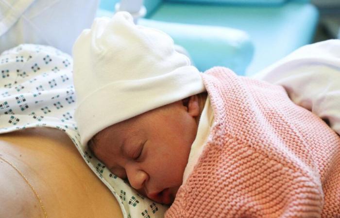 Louise und Léo stehen 2024 an der Spitze der am häufigsten genannten Vornamen in Pau