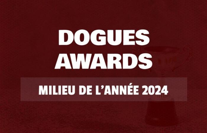 Dogues Awards 2024: Wählen Sie den LOSC-Mittelfeldspieler des Jahres