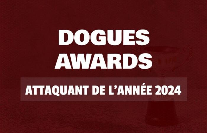 Dogues Awards 2024: Wählen Sie den LOSC-Stürmer des Jahres