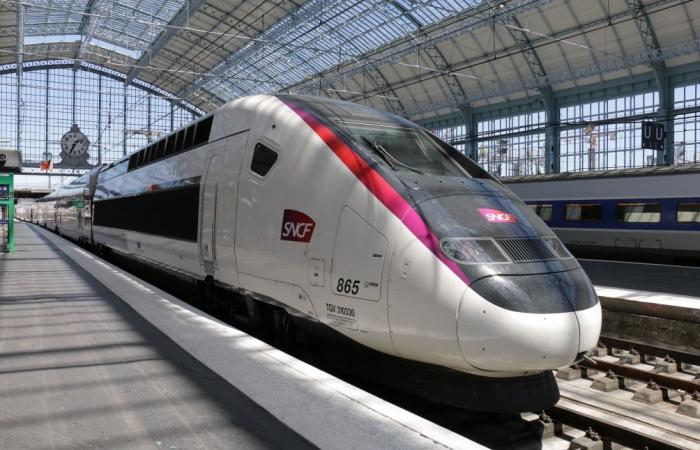 „Schreckliches Drama am Heiligabend“: Ein TGV-Fahrer begeht Selbstmord, indem er aus dem Zug springt