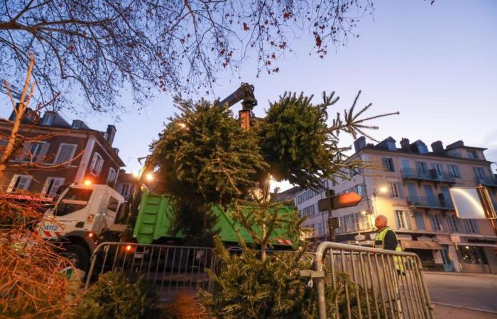 Pau: Ab dem Tag nach Weihnachten können Weihnachtsbäume im Stadtzentrum gelagert werden