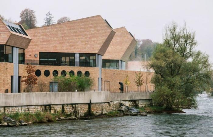 Therme Fortyseven Baden: Von Duschkopf-Diebstahl bis Hund im Spa