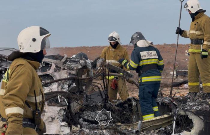 die beeindruckenden Bilder des durch den Aufprall zerfetzten Kadavers