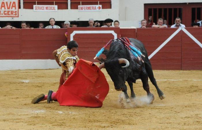 Stierkämpfe im Tarn? Dieser Club erweckt die Bullenkultur in Albi zum Leben