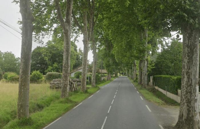 Ein 26-jähriger Mann stirbt, nachdem sein Auto am Heiligabend gegen einen Baum prallt