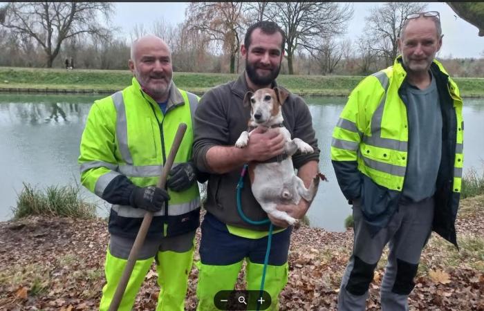 Am Weihnachtstag befreien sie Jacqo, den Jack Russell, der sechs Stunden lang in einem Bau feststeckte