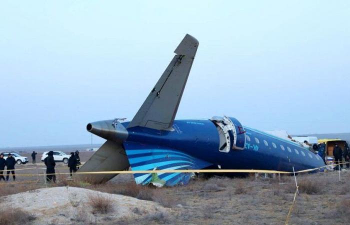 Vögel oder russischer Angriff, was hat den Unfall von Flug J2-8243 verursacht?