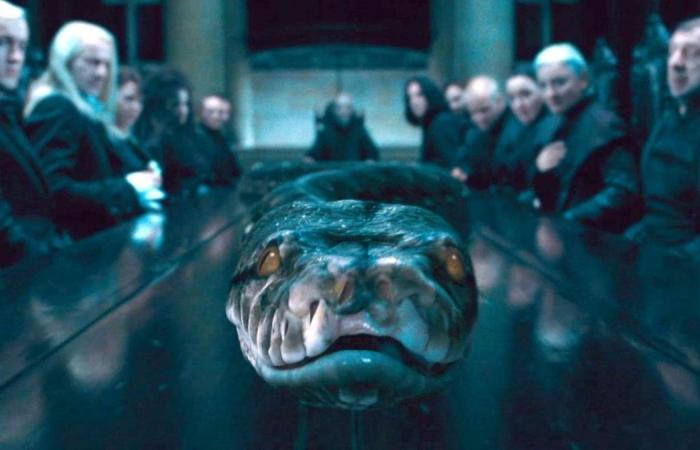 Sie schlagen Voldemort, wenn Sie herausfinden, wie diese 10 Harry-Potter-Charaktere gestorben sind