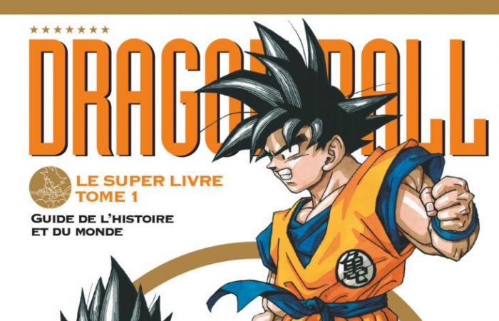 Endlich die 4 großartigen Dragon Ball-Bücher!