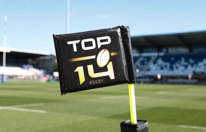 Rugby: Eine Zeitbombe in den Top 14?