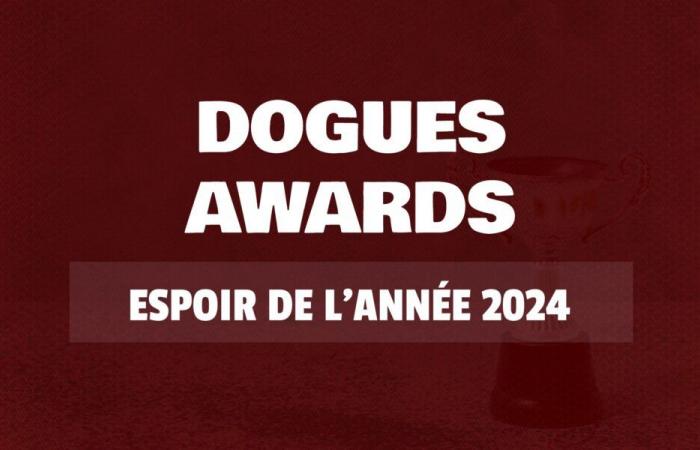 Dogues Awards 2024: Wählen Sie die LOSC-Hoffnung des Jahres