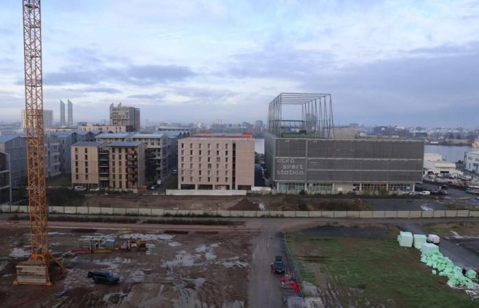 In Bordeaux-Brazza, auf der Insel Soferti, 350 Wohneinheiten, Hotel, Kultursaal, Forum, Parkplätze und Büros