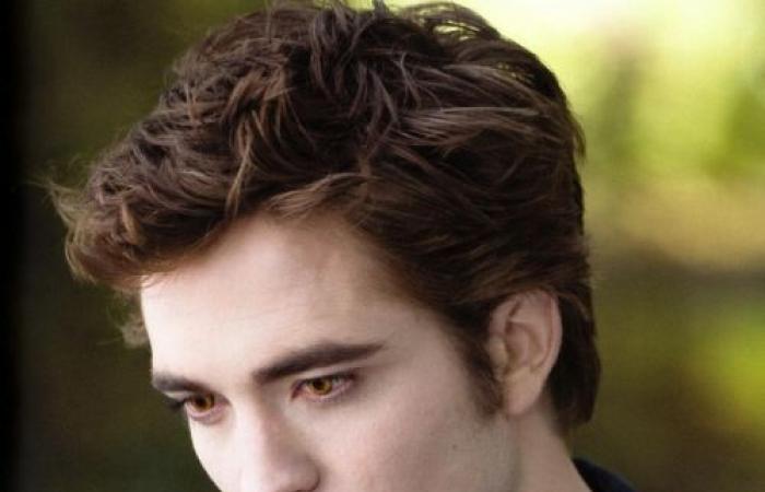 Niemand hat herausgefunden, ob diese 10 Bilder von Harry Potter oder Twilight stammen