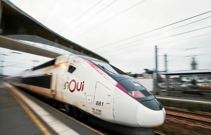 Selbstmord eines TGV-Fahrers: Das Szenario eines außer Kontrolle geratenen Zuges wurde dank der SNCF-Verfahren vermieden