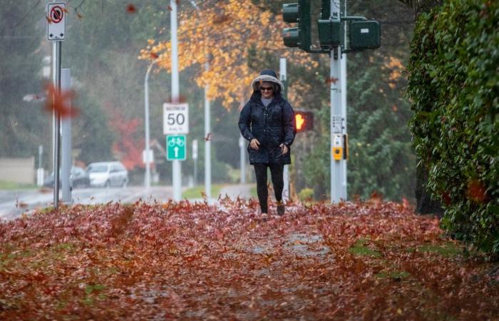 Fähren wurden abgesagt, da der Südwesten von British Columbia am Weihnachtstag von einem Sturm heimgesucht wurde