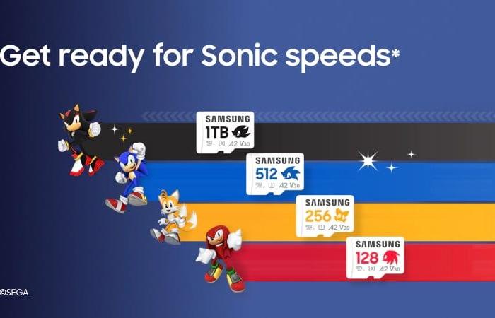 Die neuen microSD-Karten im Sonic-Design von Samsung sind perfekt für die Nintendo Switch 2