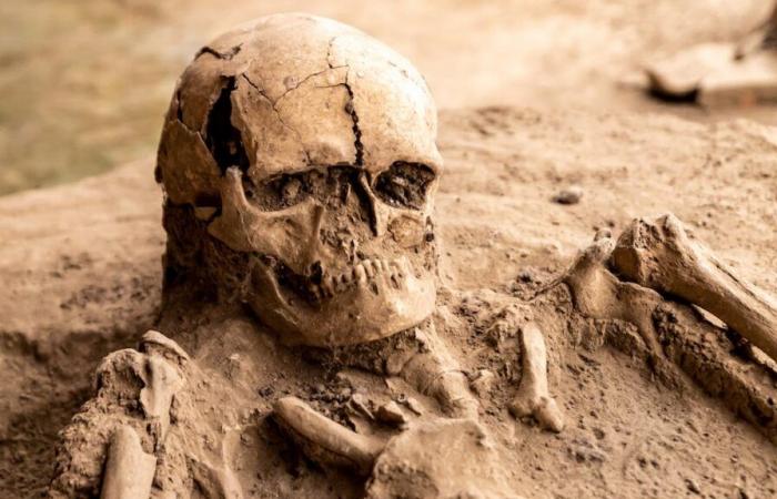 9.000 Jahre alte menschliche Knochen geben Aufschluss über die Entstehung der Syphilis