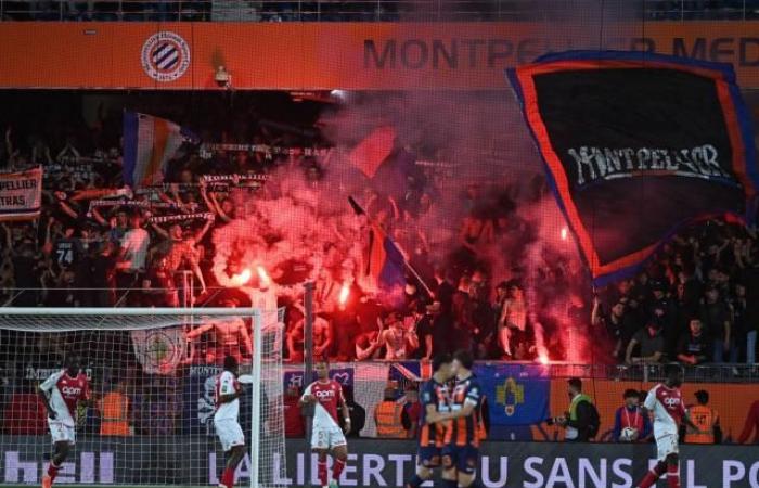 Fans von Montpellier sind wütend auf ihren Verein, der „zwischen dem Lächerlichen und dem Mitleidigenden schwankt“, und auf Savanier