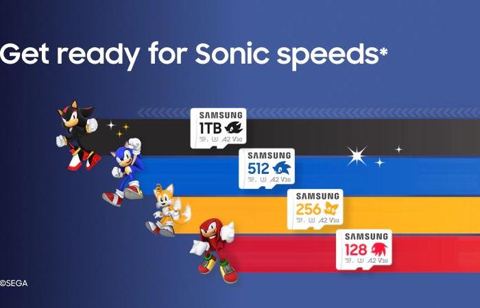 Die neuen microSD-Karten im Sonic-Design von Samsung eignen sich hervorragend für die Nintendo Switch 2