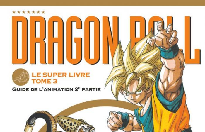 Endlich die 4 großartigen Dragon Ball-Bücher!