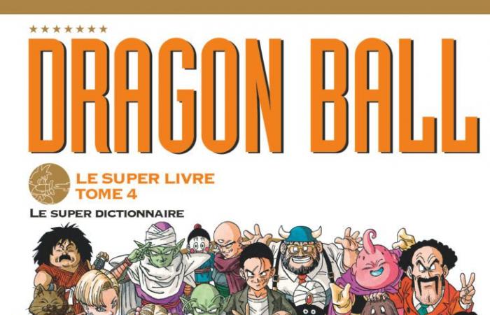 Endlich die 4 großartigen Dragon Ball-Bücher!