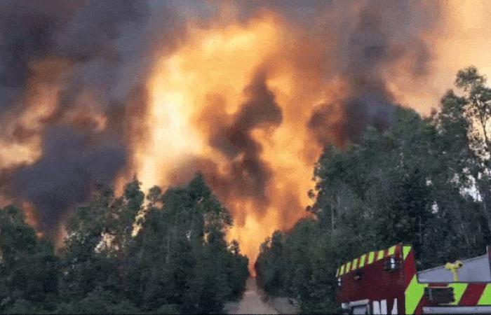 Weiße Weihnachten in Europa, Feuer in Chile… Wetternachrichten auf der ganzen Welt 25.12.2024