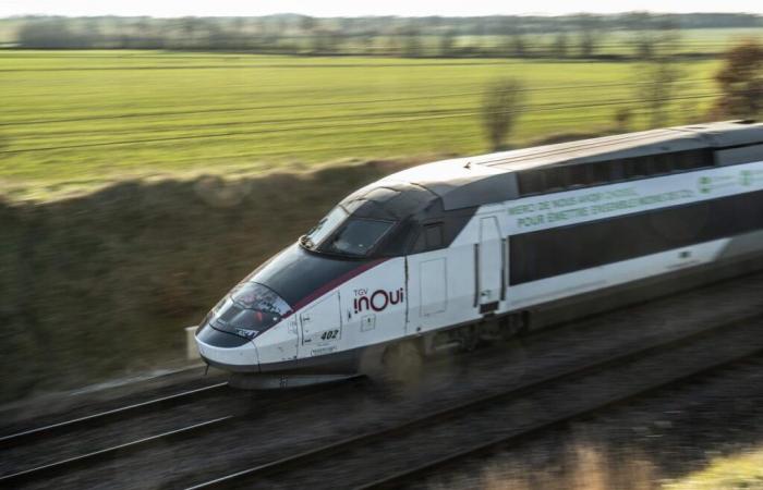 Gestrandete Reisende und große Verspätungen nach einem Unfall am Dienstagabend auf der südöstlichen TGV-Strecke