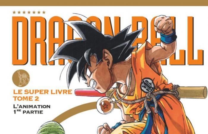 Endlich die 4 großartigen Dragon Ball-Bücher!