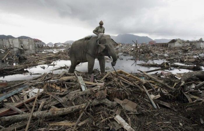 Gebete und Tränen erinnern an den 20. Jahrestag des Tsunamis im Indischen Ozean, bei dem 230.000 Menschen ums Leben kamen