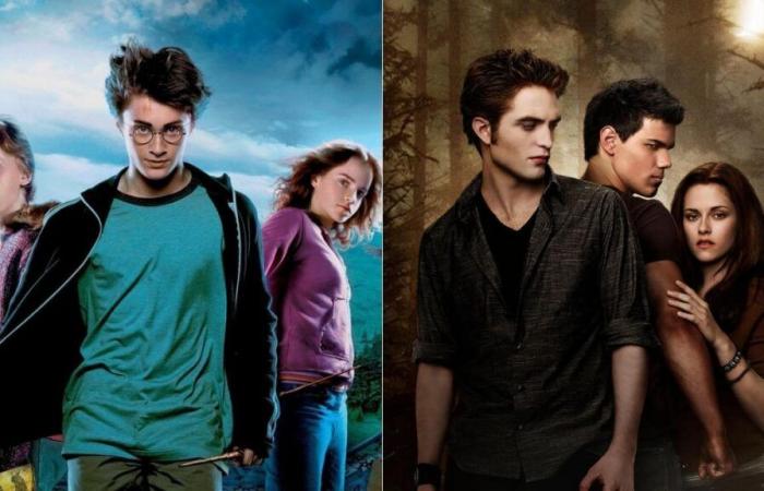 Niemand hat herausgefunden, ob diese 10 Bilder von Harry Potter oder Twilight stammen