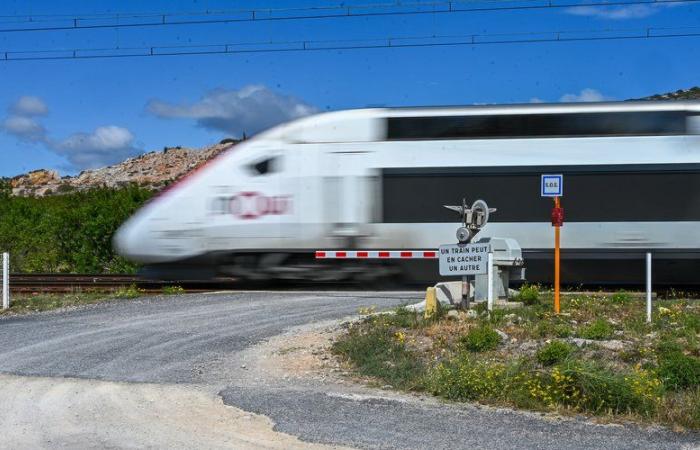 Selbstmord eines TGV-Fahrers: „Er war Humanist, Pazifist, engagiert“ … Als Vater zweier Kinder war der Eisenbahner „jemand Wichtiges“ für seine Kameraden aus Saint-Etienne