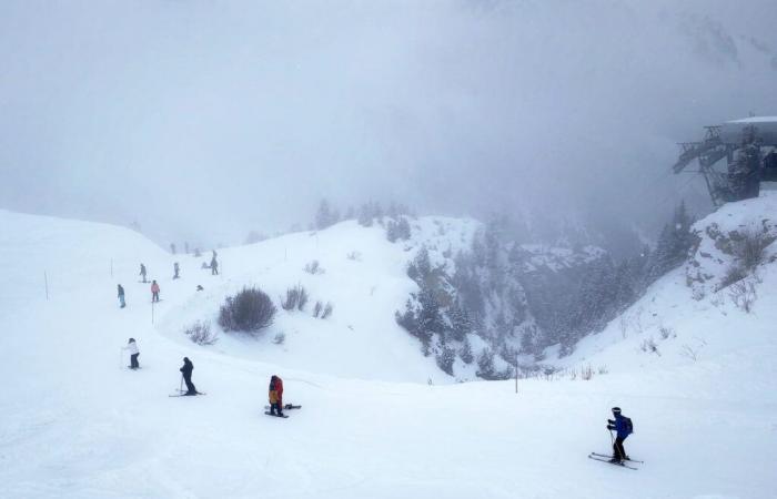 Ein Surfer, der die Lawine verursacht? Die Spur der Ermittler